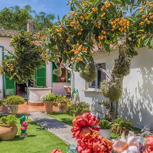 Casa Vileta Palma de Mallorca
