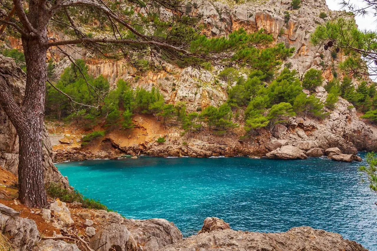 Villa Finca Bb Pool Beach Relax 10 Guests Πάλμα ντε Μαγιόρκα