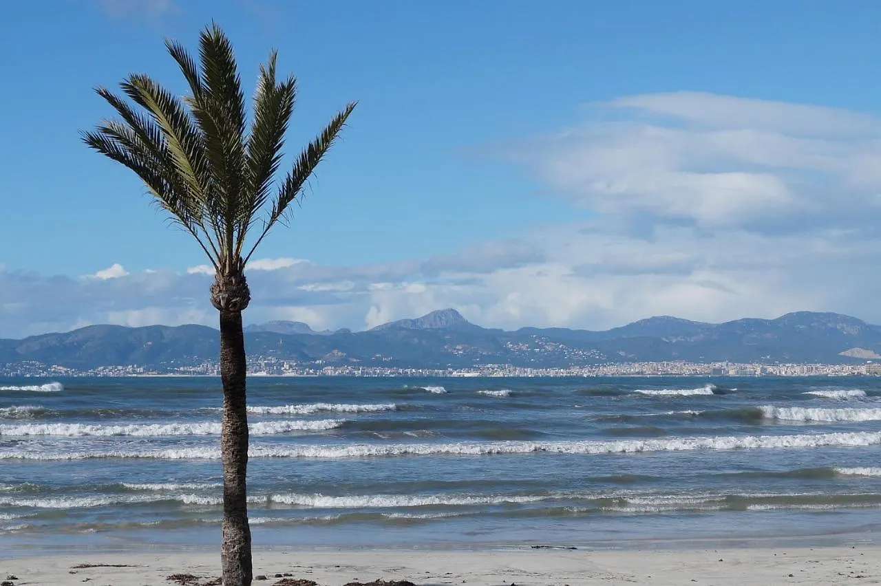 Villa Finca Bb Pool Beach Relax 10 Guests Palma de Mallorca